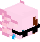 Lachupitus