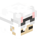 usernaem_typo