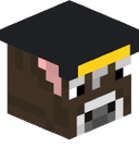 CowAerospace
