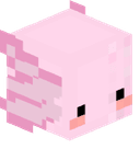 dizzyaxolotl