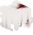 Entitilo_RwXVV