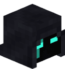 pewe557