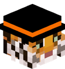 tigero9