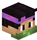 LightELK6456