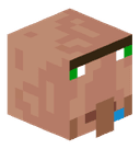 bfvvc