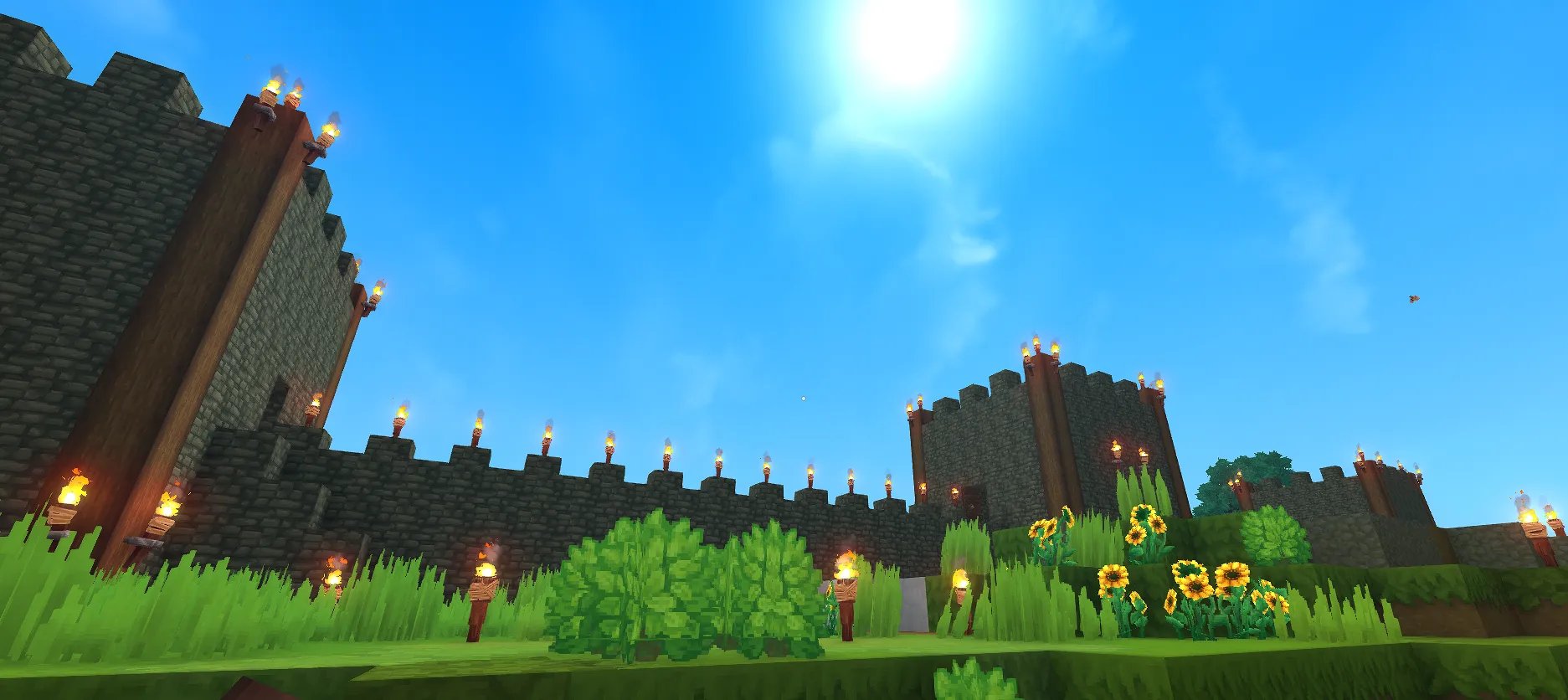 A castle during the day